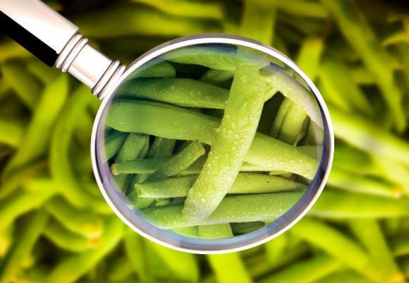 TransparentTraceables